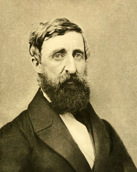 477px-Henry_David_Thoreau_-_Dunshee_ambrotpe_1861