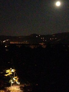 photo © Daniele Martino 2015