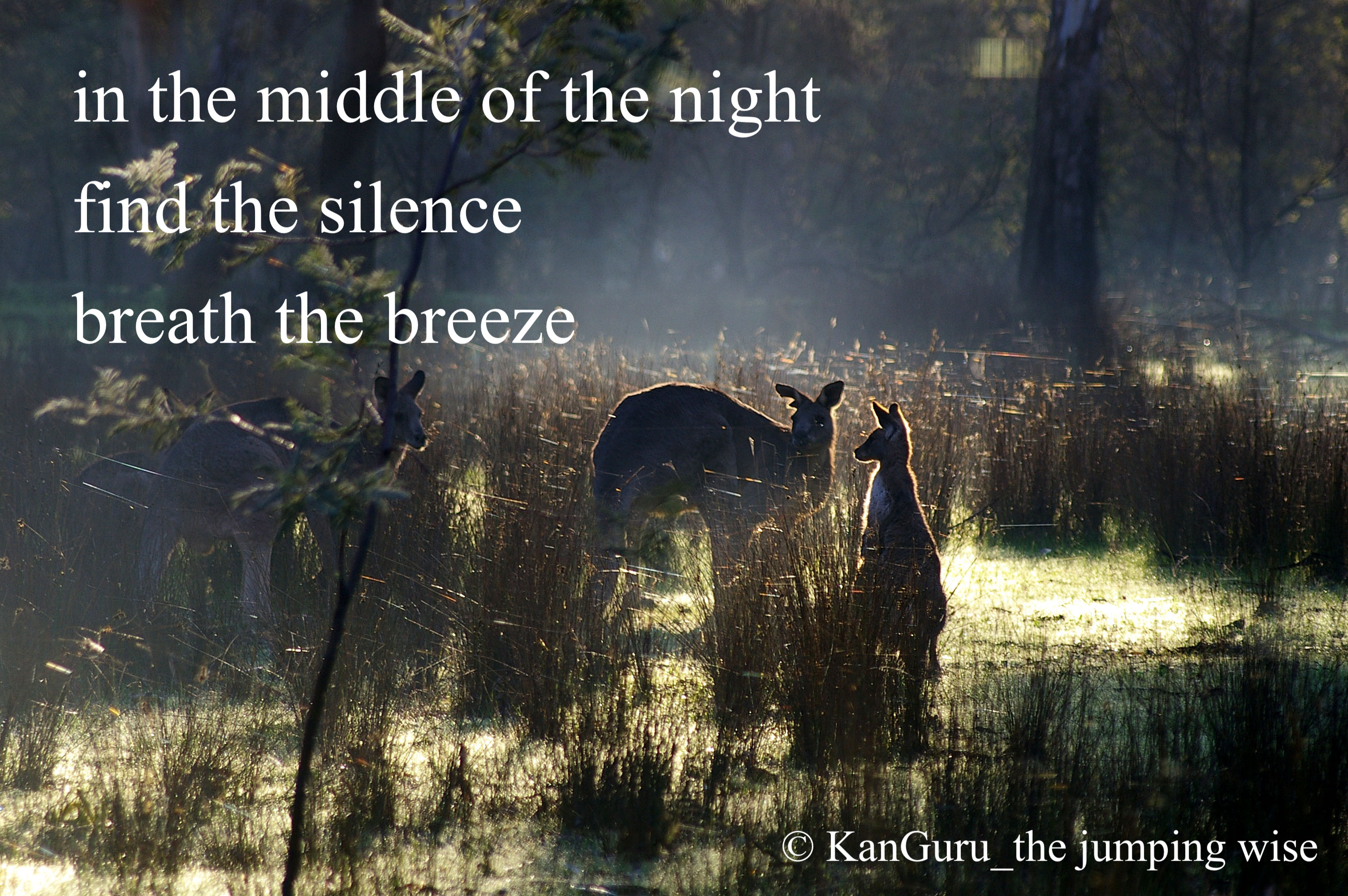 in the middle of the night.jpg